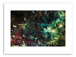 Diapo trash — Laziz Hamani