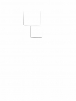 White on white — Laziz Hamani