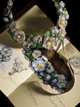 Giampiero Bodino — Laziz Hamani