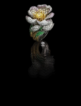 Giampiero Bodino — Laziz Hamani