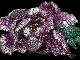 Giampiero Bodino — Laziz Hamani