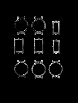 Harry Winston — Laziz Hamani