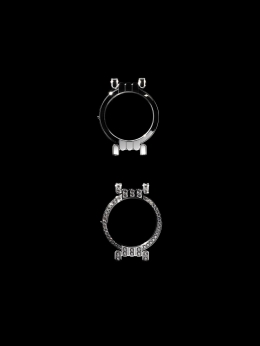 Harry Winston — Laziz Hamani