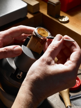 Harry Winston — Laziz Hamani