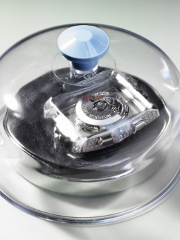 Harry Winston — Laziz Hamani