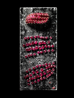 Harry Winston — Laziz Hamani