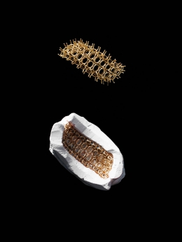 Harry Winston — Laziz Hamani