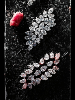 Harry Winston — Laziz Hamani