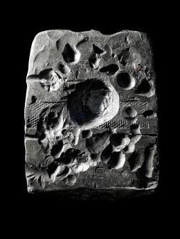 Harry Winston — Laziz Hamani