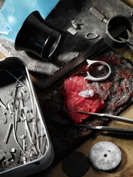 Harry Winston — Laziz Hamani