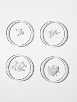 Harry Winston — Laziz Hamani