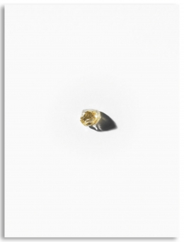 Harry Winston — Laziz Hamani