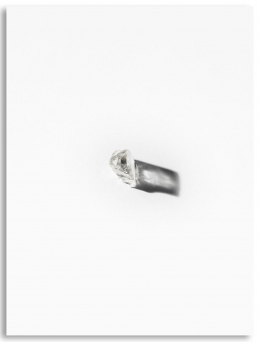 Harry Winston — Laziz Hamani