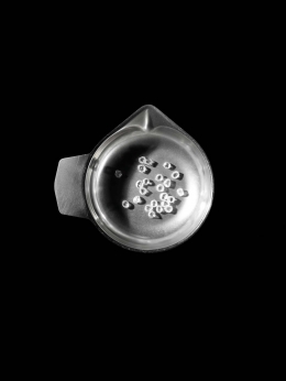 Harry Winston — Laziz Hamani