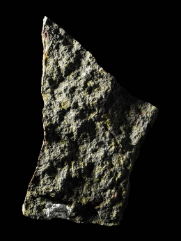 Harry Winston — Laziz Hamani