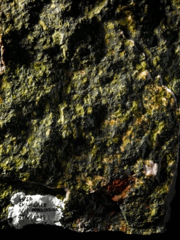 Harry Winston — Laziz Hamani