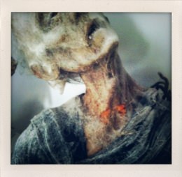 365 days — Laziz Hamani