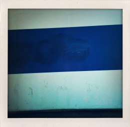 365 days — Laziz Hamani