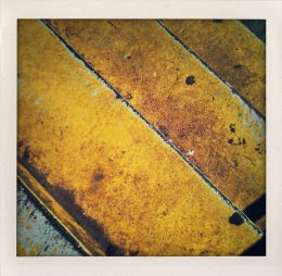 365 days — Laziz Hamani