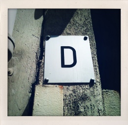 365 days — Laziz Hamani