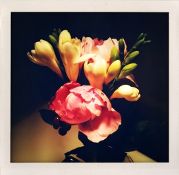 365 days — Laziz Hamani