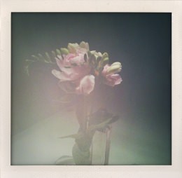 365 days — Laziz Hamani