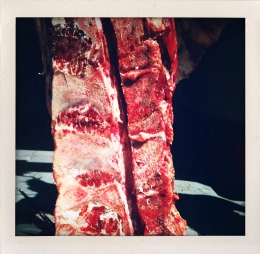 365 days — Laziz Hamani