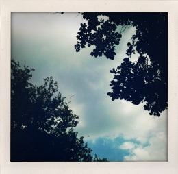 365 days — Laziz Hamani