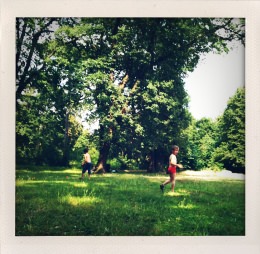 365 days — Laziz Hamani