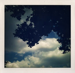 365 days — Laziz Hamani