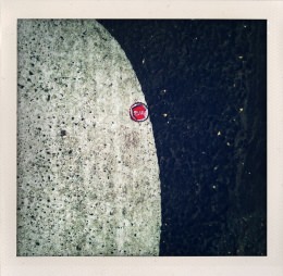 365 days — Laziz Hamani