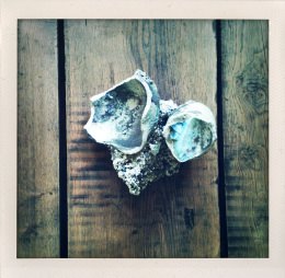 365 days — Laziz Hamani