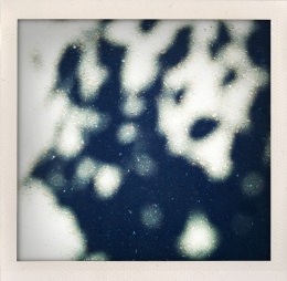 365 days — Laziz Hamani