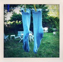 365 days — Laziz Hamani