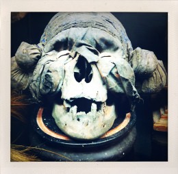 365 days — Laziz Hamani