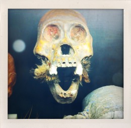 365 days — Laziz Hamani