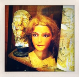 365 days — Laziz Hamani