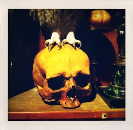 365 days — Laziz Hamani