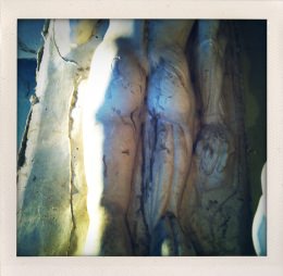 365 days — Laziz Hamani