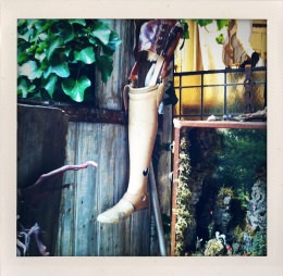 365 days — Laziz Hamani