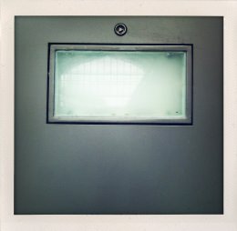 365 days — Laziz Hamani