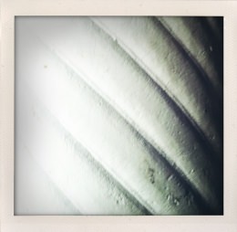 365 days — Laziz Hamani