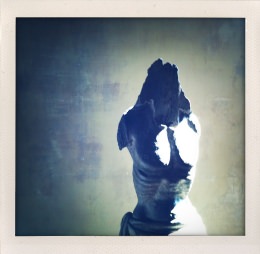 365 days — Laziz Hamani