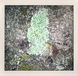 365 days — Laziz Hamani