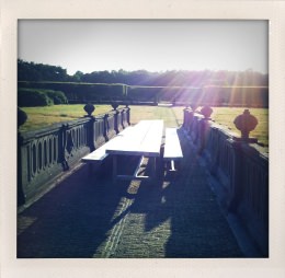 365 days — Laziz Hamani