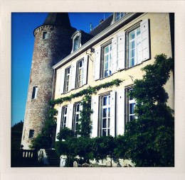 365 days — Laziz Hamani