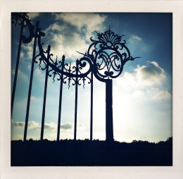 365 days — Laziz Hamani