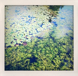 365 days — Laziz Hamani