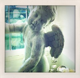 365 days — Laziz Hamani