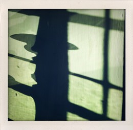 365 days — Laziz Hamani